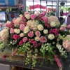 Expressions Florist