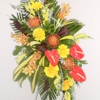 Divine Nature Floral Design