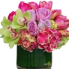 Le Florist Corte Madera Marin County