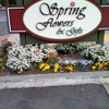 Spring Flowers & Gifts