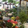 Gardener's Center and Florist The