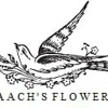 Braach's Flower
