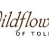 Wildflowers of Tolland