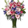 Lilium Florist