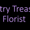 Country Treasures Florist Inc