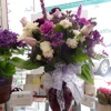 Genesee Florist