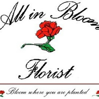 All In Bloom Florist