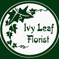 Ivy Leaf Florist