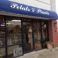 Local Florist Shop Petals & Plants Florist in Cabot AR