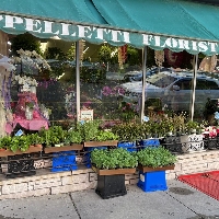 Cappelletti Florist Inc