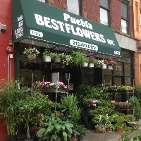 Local Florist Shop 106 Flower Shop Corp in New York NY