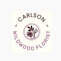 Carlson Wildwood