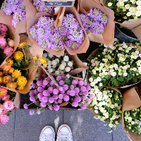 Appalachian Florist